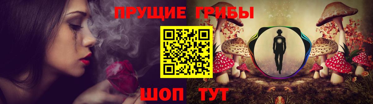 Ачхой-Мартан  Галлюциногенные грибы мухоморы  Вход с VPN 